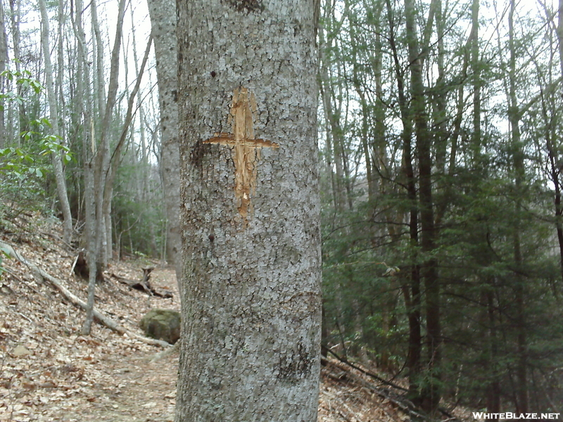 Cross For Meredith Emerson, Byron Reese Approach Trial