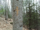 Cross For Meredith Emerson, Byron Reese Approach Trial by bananawind in In Memory of: