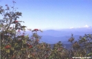 Thunderhead by chris in Views in North Carolina & Tennessee