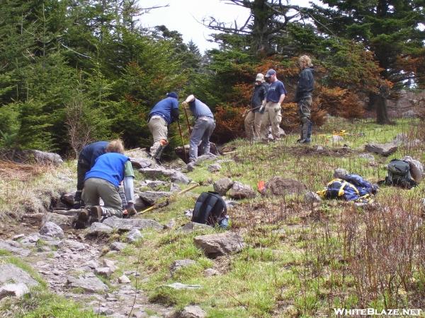 Konnarock Crew 2006 Week One Mount Rogers