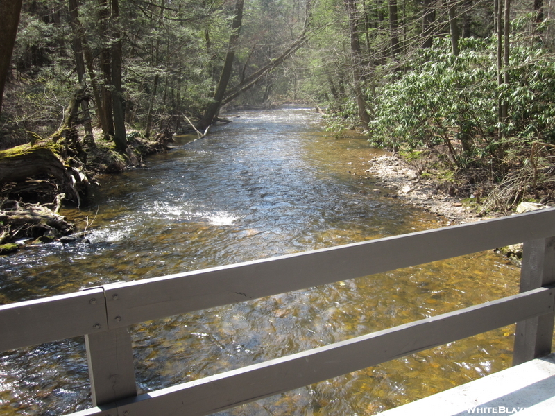 Creek In Caledonia State Park