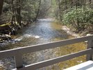 Creek In Caledonia State Park by msujay in Views in Maryland & Pennsylvania