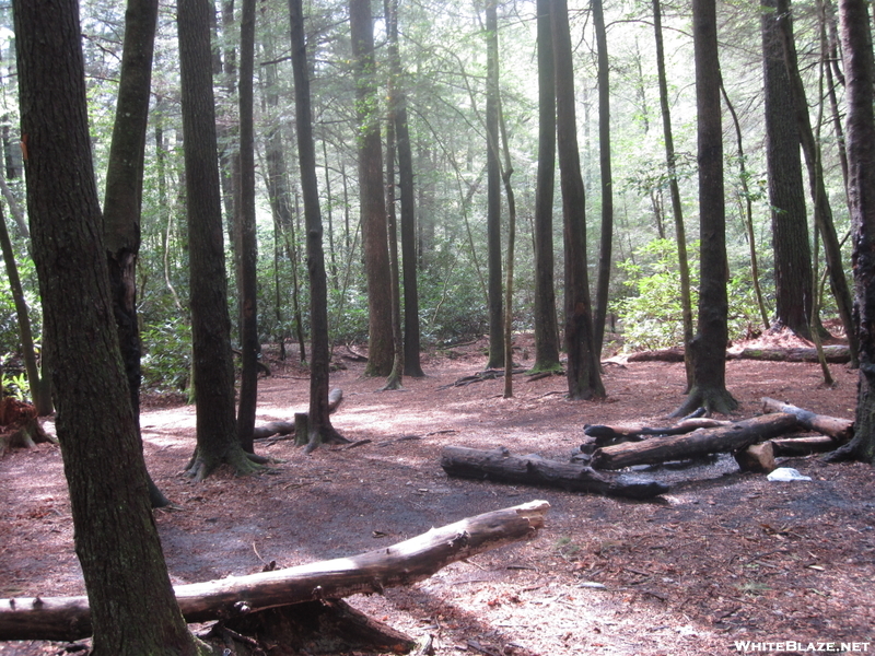 Campsite At Three Forks