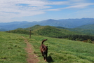 Max Patch, May 2009 by slow roasted in Section Hikers