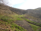 Overmountain Shelter by slow roasted in Section Hikers