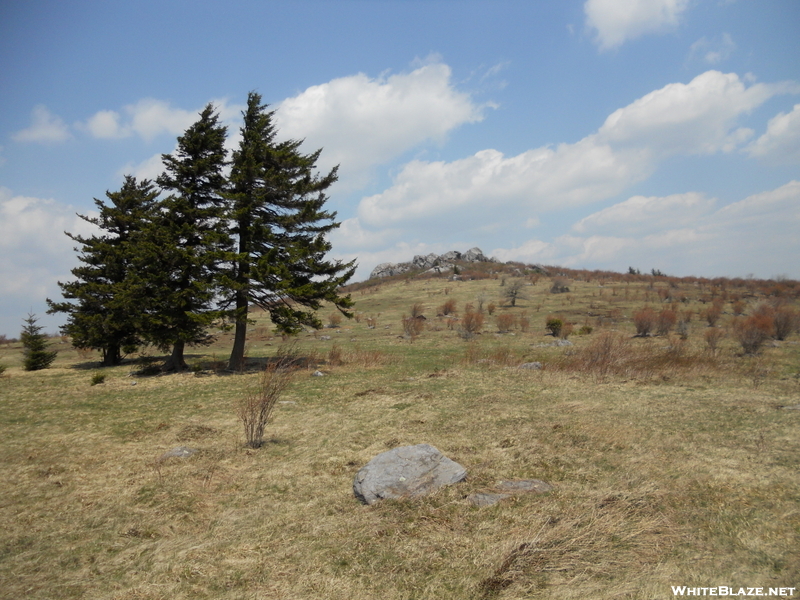 Grayson Highlands