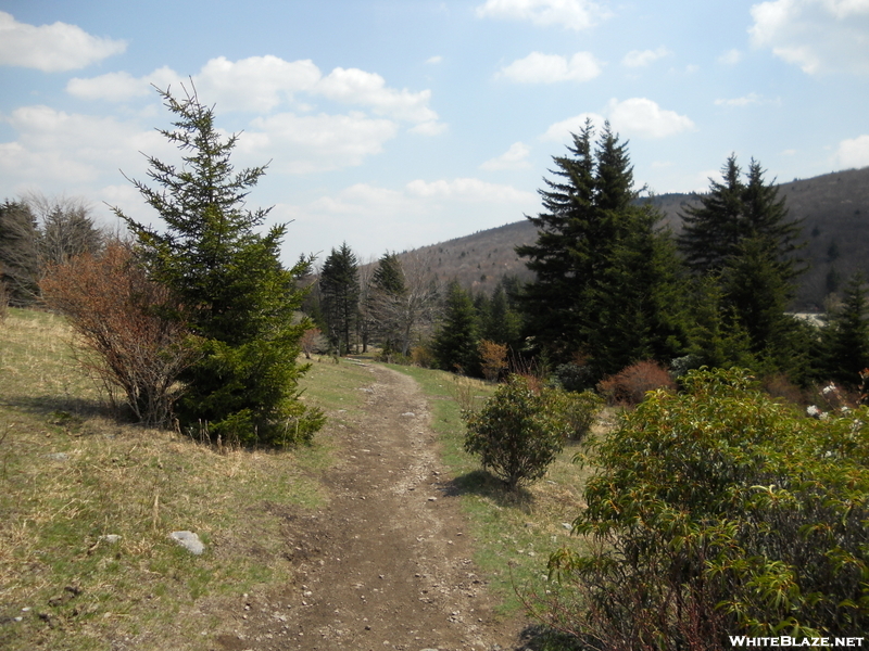 Grayson Highlands