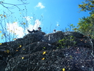 Fritz the Cat and Peaches at Dragon's Tooth by ShoelessWanderer in Section Hikers