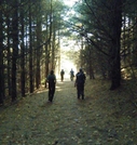 The Ocb Group Hiking To Cold Mountain