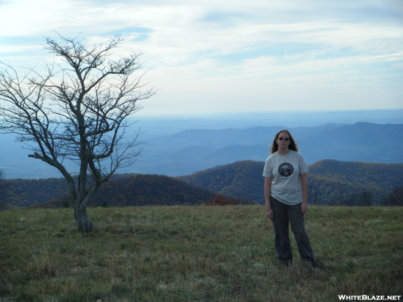 The Shoeless Wanderer On Cold Mountain