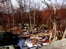 Winter Hike 2011 by sir limpsalot in Trail & Blazes in Maryland & Pennsylvania