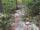 Solo Hike 9/10- Md by sir limpsalot in Trail & Blazes in Maryland & Pennsylvania