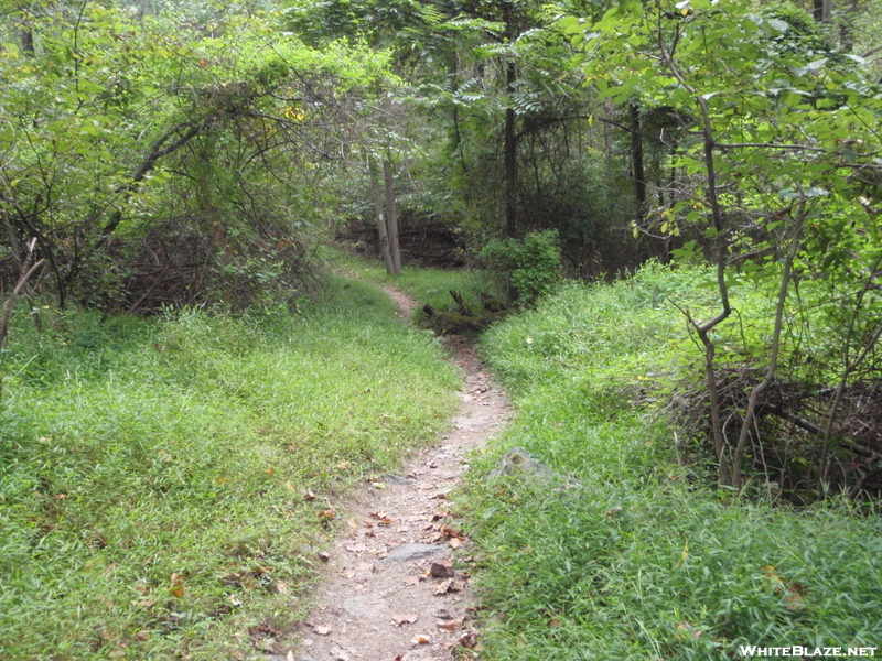 Solo Hike 9/10- Md