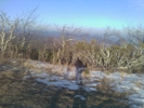 Fisher Peak, Va  3,570 Feet by JEBjr in Day Hikers