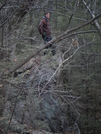 Appalachian Trail Through Ny March 09 by fallstherain in Section Hikers