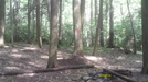 Chief Benge Trail by vamelungeon in Trail & Blazes in Virginia & West Virginia
