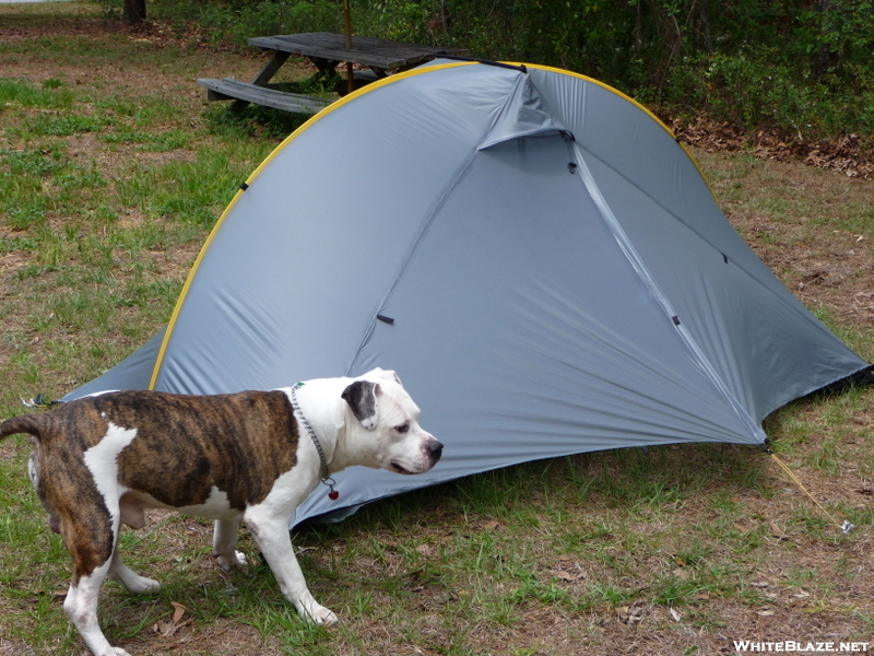 My Tent Inspector