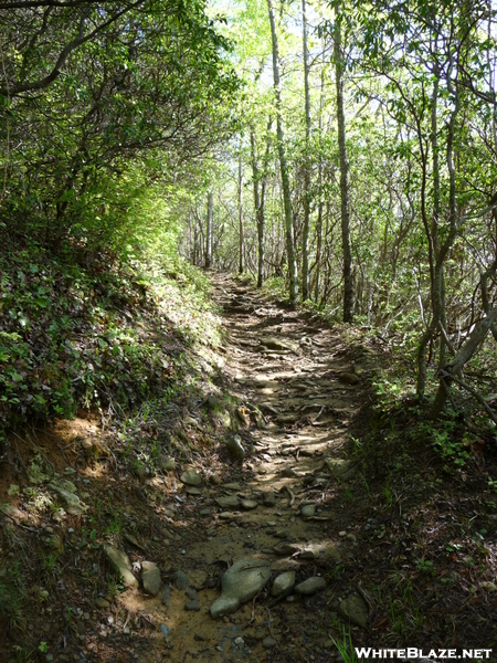 Russel Field Trail