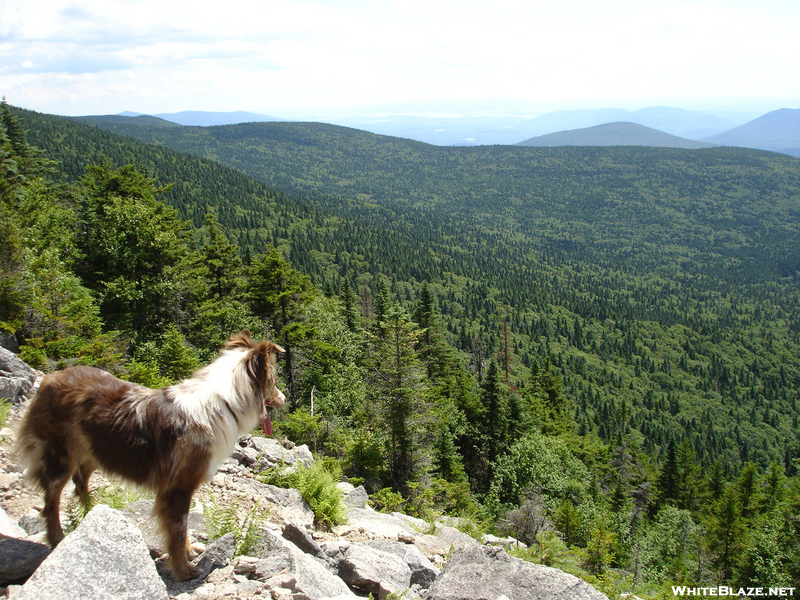 White Mts, New Hampshire