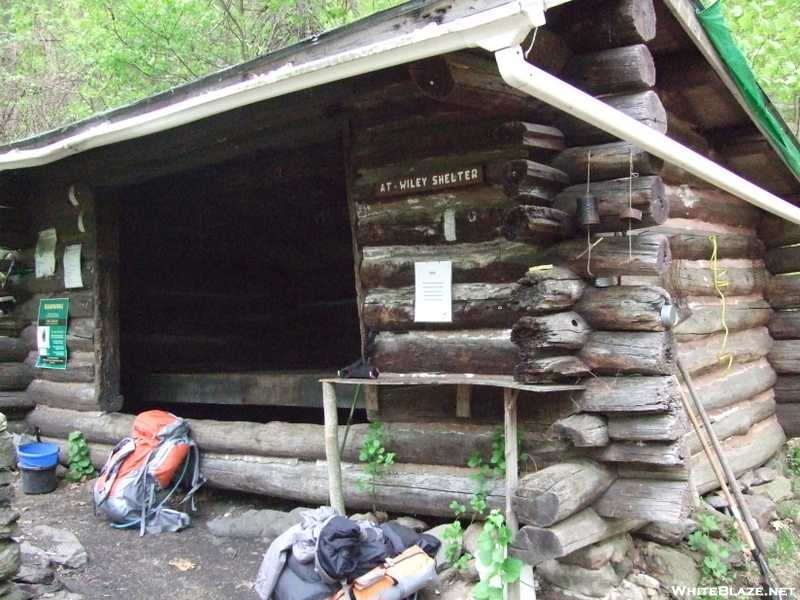 Wiley Shelter