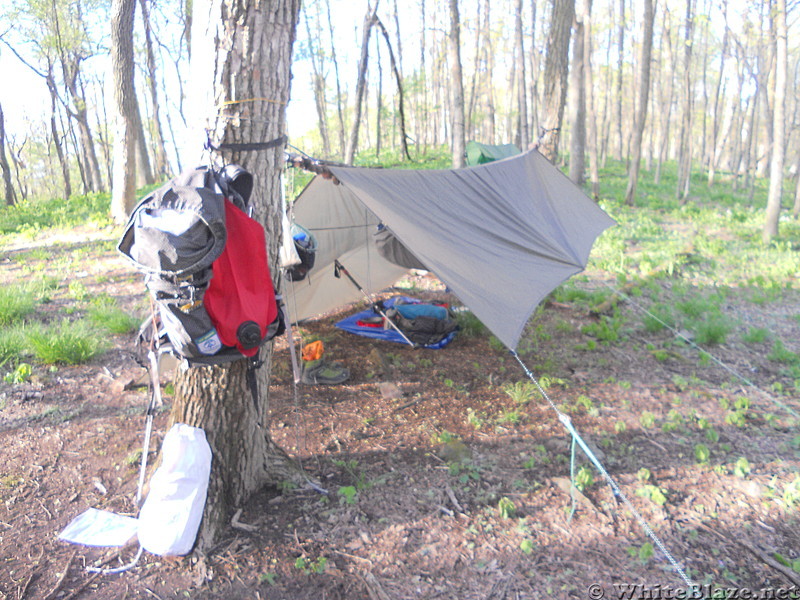 hanging north of Hot Springs