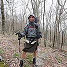 Stinkbug on the Burkes Garden ridgeline by Menace in Section Hikers