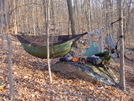 Md At by Menace in Hammock camping