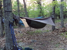 Virginia At by Menace in Hammock camping