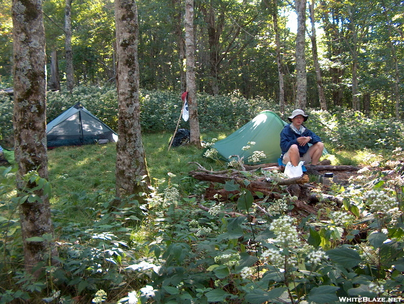 Sweet Camping Spot