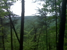 Pinhoti Trail - Dug Gap To Keown Falls