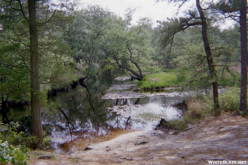 Mullica River Trail