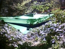 Hammocks W/ Tent Flies