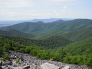 Shenandoah