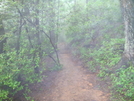 Raven Cliff Falls by Jerky Mike in Day Hikers