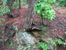 Raven Cliff Falls by Jerky Mike in Day Hikers