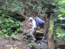 Section Hikes In 2010