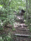 Section Hikes In 2010 by 58starter in Section Hikers