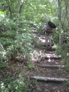 Section Hikes In 2010