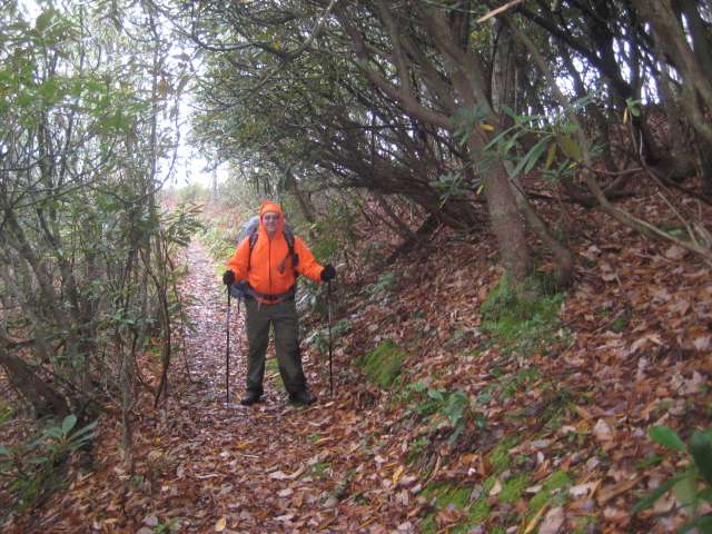 Sam's Gap to Erwin 2011