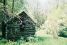 Camera #5 by freechild in Trail & Blazes in North Carolina & Tennessee