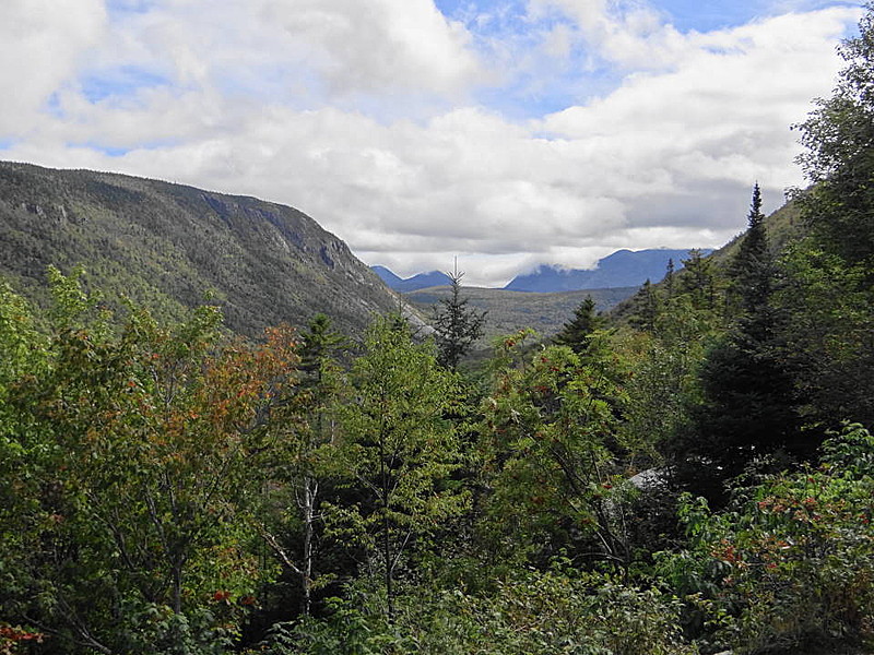 Zealand Notch