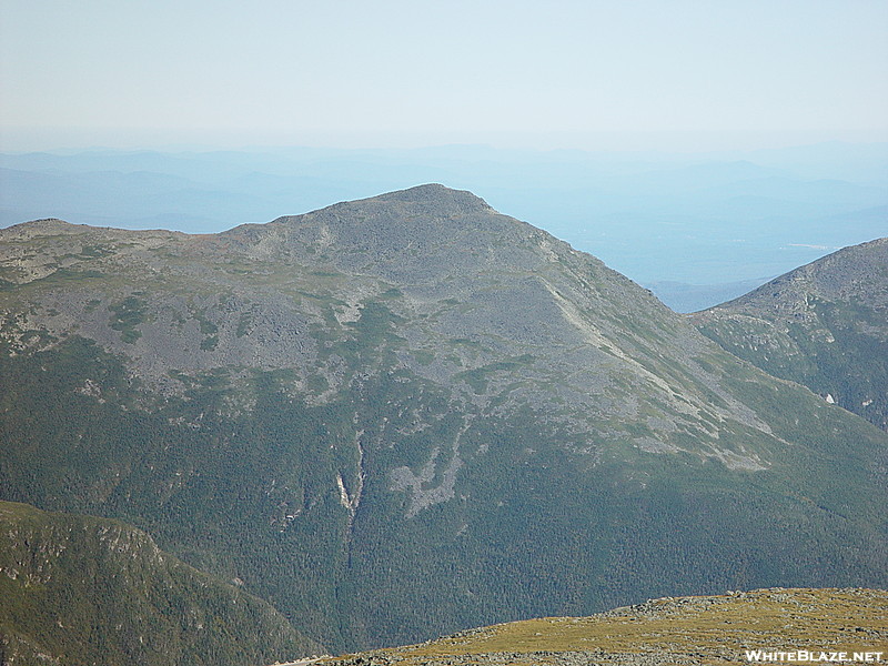 The Whites of NH