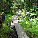 Bog bridges by bubberrb in Trail and Blazes in Massachusetts