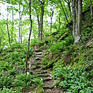 The Berkshire Hills of Massachusetts