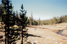 Hiking The Jmt Crabtree Meadow by toegem in Other Trails