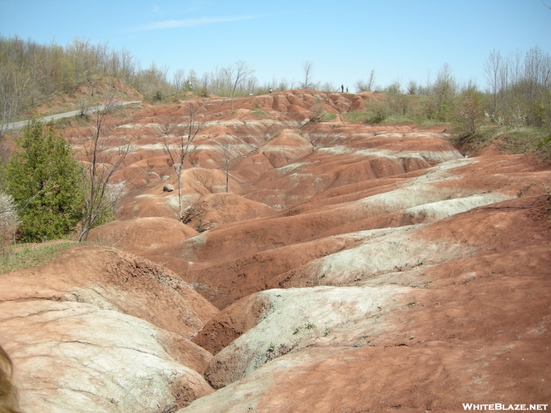 Badlands Of Cheltenham