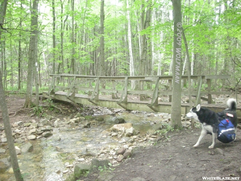 Bridges Over The Bruce