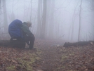 Foggy Walk To Gooch Gap Shelter by blue07 in Section Hikers