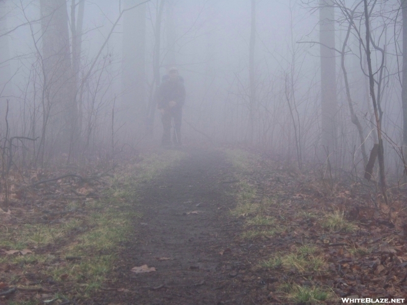 Foggy Walk To Gooch Gap Shelter