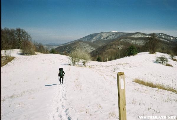 hiking towards Big Bald